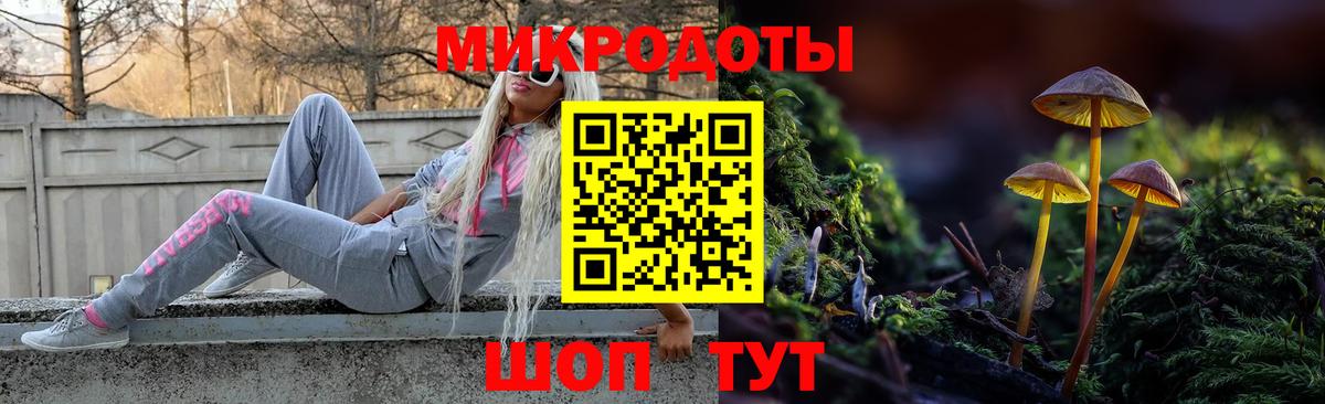 Псилоцибиновые грибы Magic Shrooms Будённовск