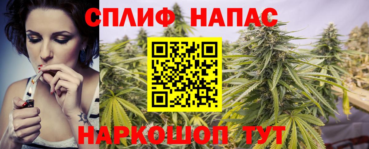 Бошки марихуана White Widow Будённовск